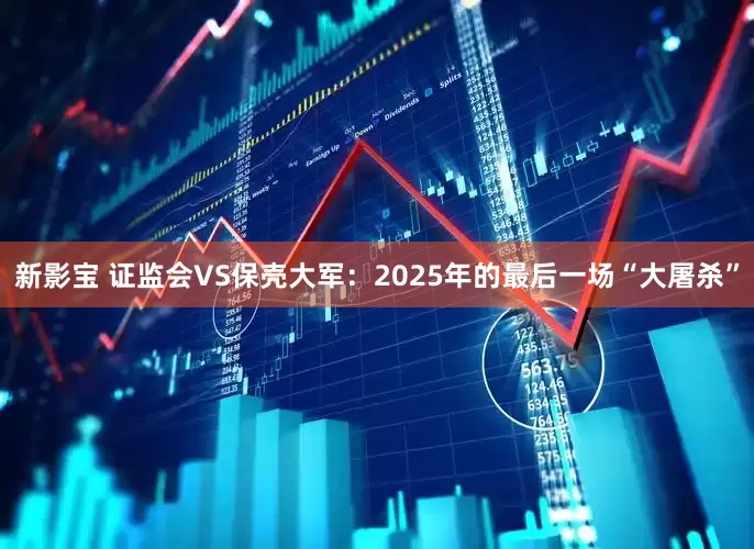 新影宝 证监会VS保壳大军：2025年的最后一场“大屠杀”