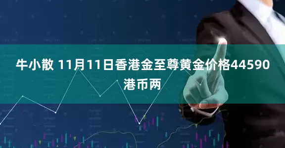 牛小散 11月11日香港金至尊黄金价格44590港币两