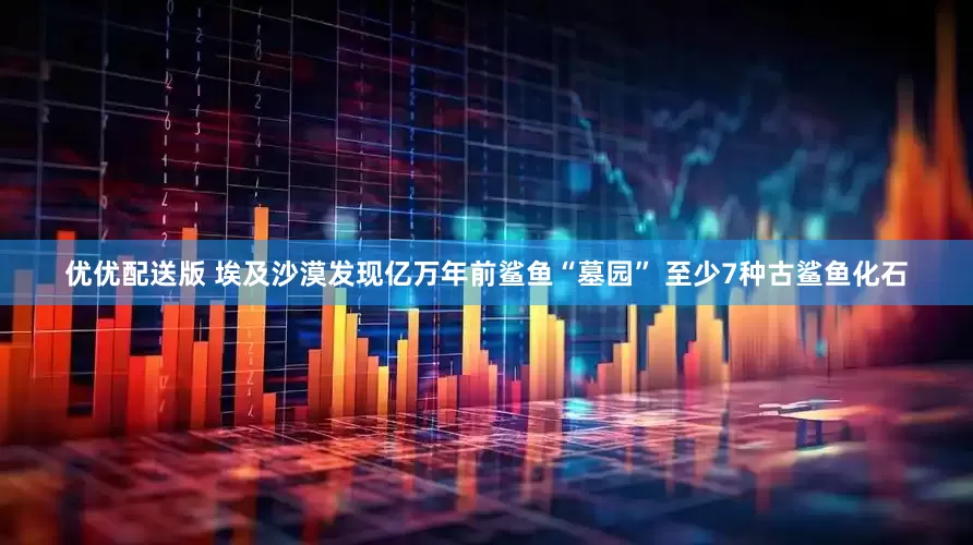 优优配送版 埃及沙漠发现亿万年前鲨鱼“墓园” 至少7种古鲨鱼化石